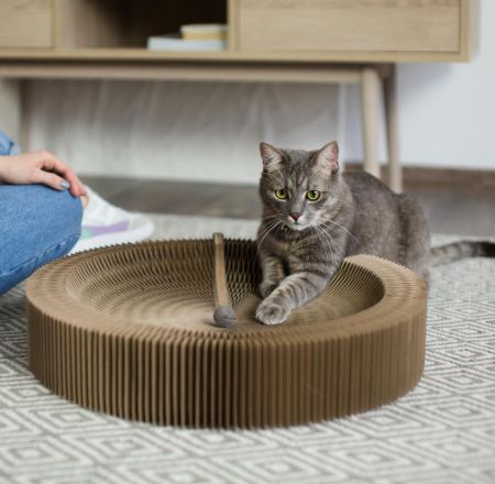 Corrugated Paper/Box