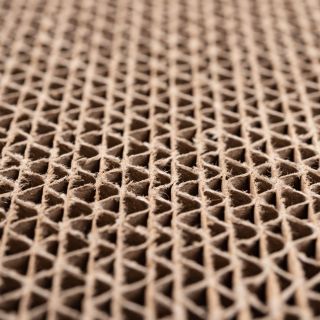 AdobeStock_273952435
