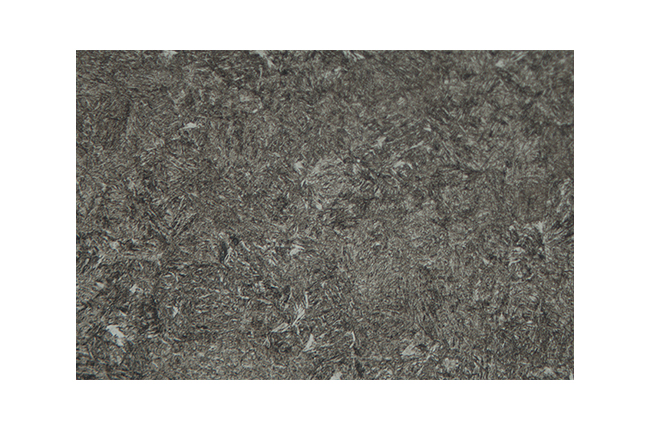 standard-heat-treated-steel-coarse-microstructure-hs standard-heat-treated-steel-coarse-microstructure-hs