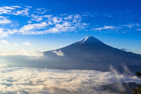 社内行事に伴う休業のお知らせ