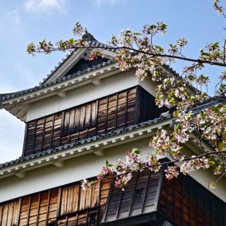 LINE_ALBUM_20250413-17北九州員工旅遊_250421_29