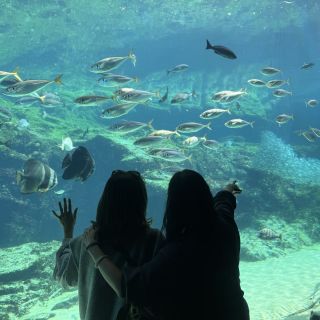 99島1