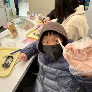 採珍珠2
