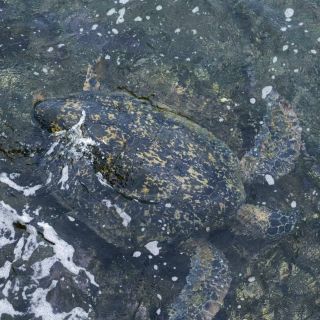 LINE_ALBUM_2026424_260430_3