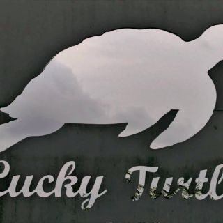 LINE_ALBUM_2026424_260430_2