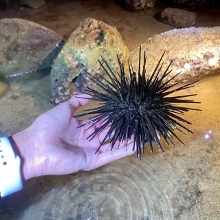 LINE_ALBUM_20260423小琉球DAY1_260430_4