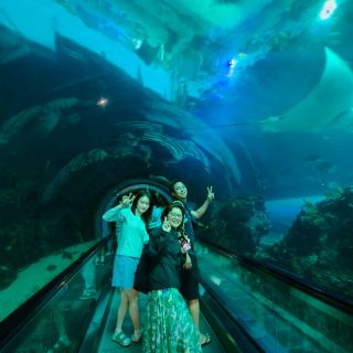 LINE_ALBUM_2026425_260430_2